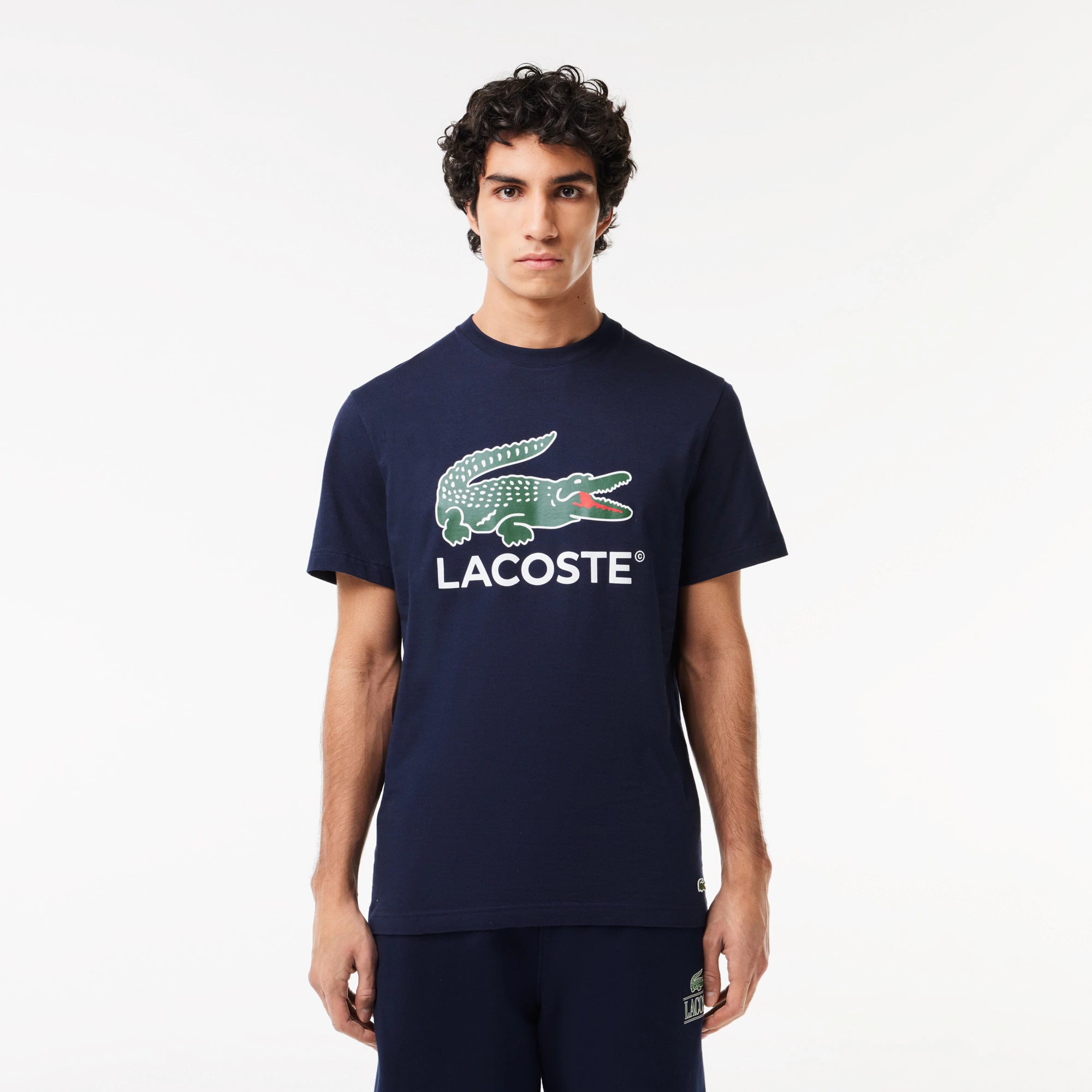 Мужская футболка из хлопчатобумажного трикотажа Lacoste с фирменным принтом
